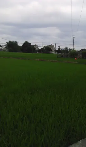 开平一日游——Travelogue in 2015