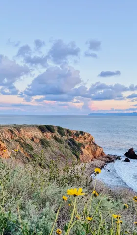 【解讀美股情緒】當離別開出花，它生長在懸崖 - 20260212