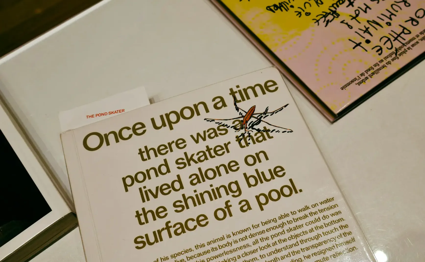 # 01 我好像是成长了