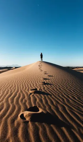 NO42 Best of article：黄峥：一路走来，我的经历与思考