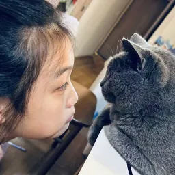 在日资产配置实用指南