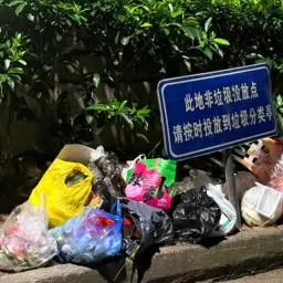 设计漫步周刊#113