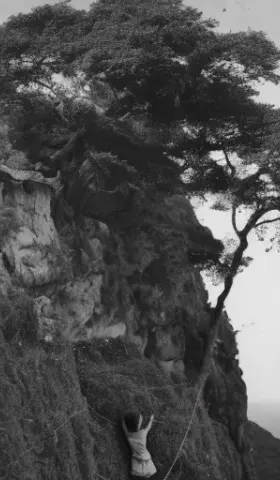 关于百指山的诡异回忆