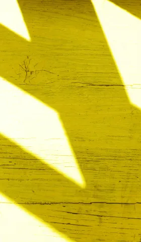 用设计驱动增长：Mengqi的出海产品顾问服务