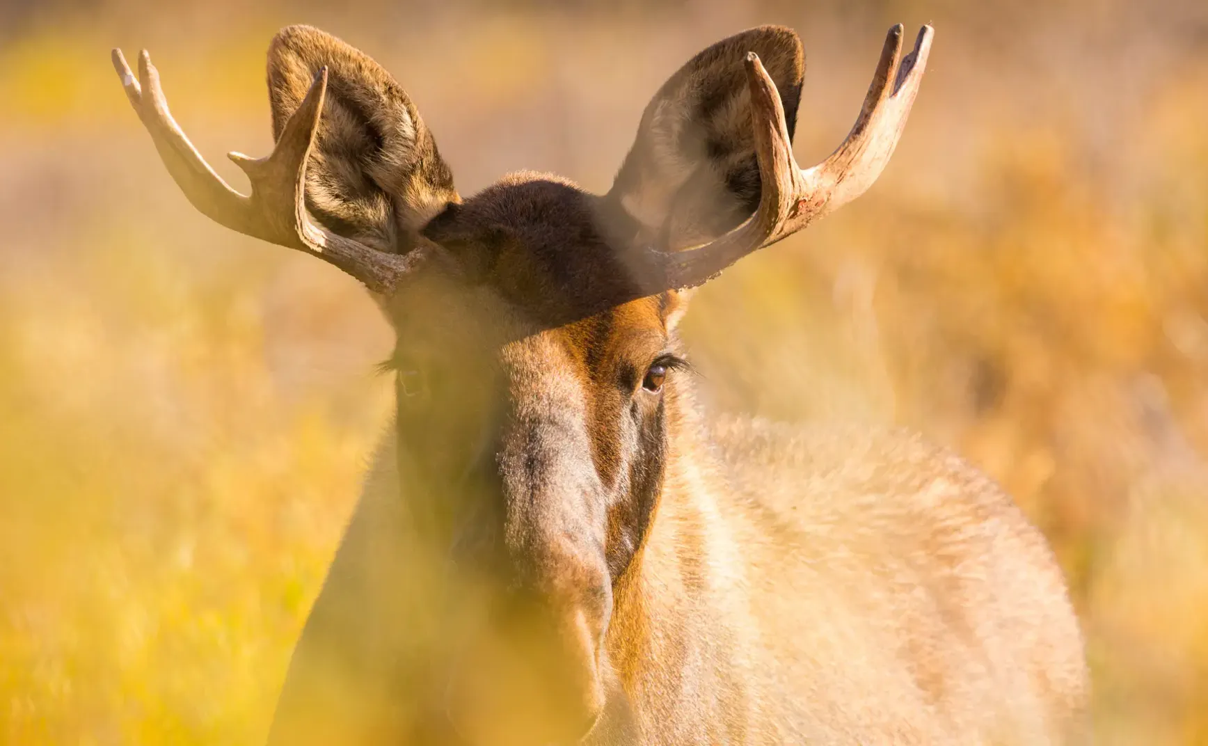 9月17日 | 黄岩岛局势升级，中美TikTok达成共识，民办高校学费引关注