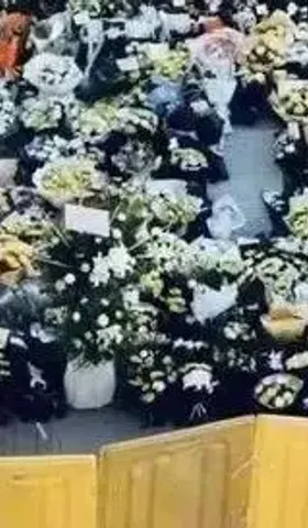 郑州，一座害怕鲜花的城市