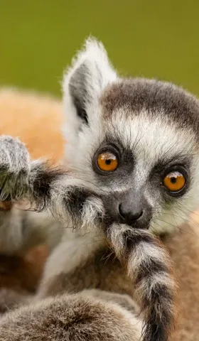 8月6日 | 网暴悲剧引关注，教育新政利民生，老兵义举暖人心