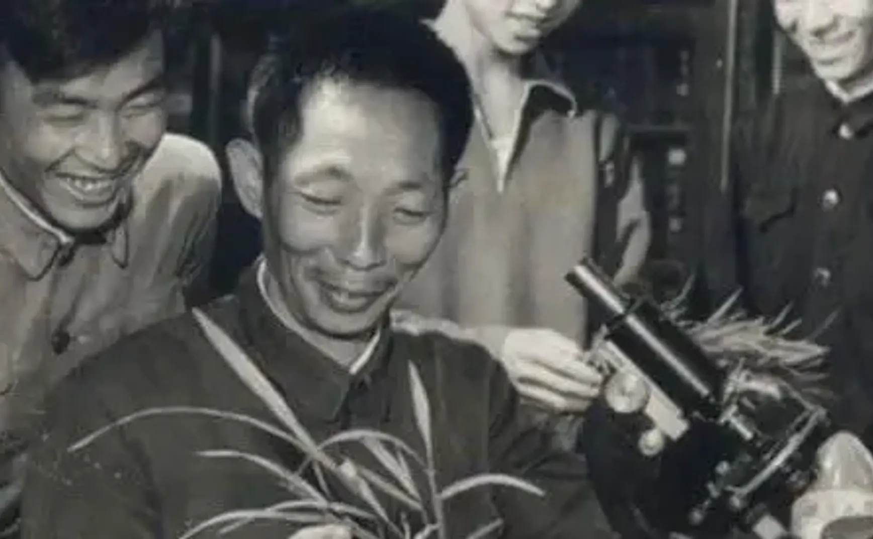 如何理解袁隆平的实际贡献？