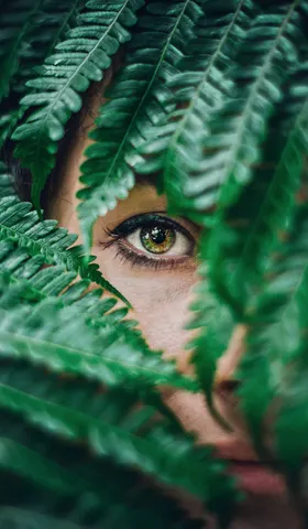 【解讀美股情緒】尊嚴是自己爭取的，自由也是 - 20250501